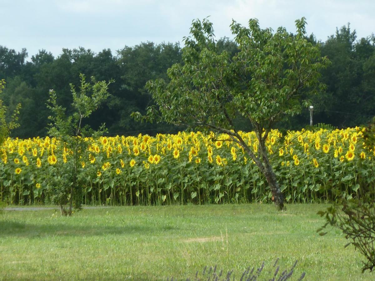 Gite Cosy Grand Confort Dans Un Ecrin De Verdure Agudelle Buitenkant foto