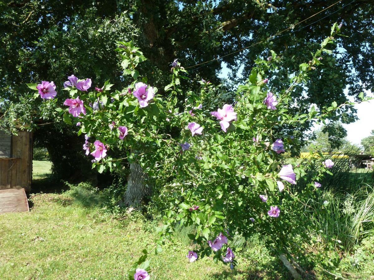 Gite Cosy Grand Confort Dans Un Ecrin De Verdure Agudelle Buitenkant foto