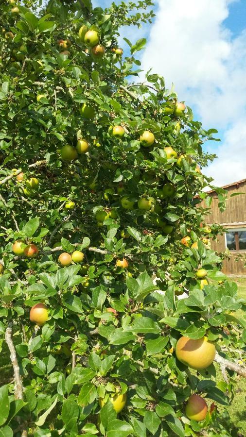 Gite Cosy Grand Confort Dans Un Ecrin De Verdure Agudelle Buitenkant foto